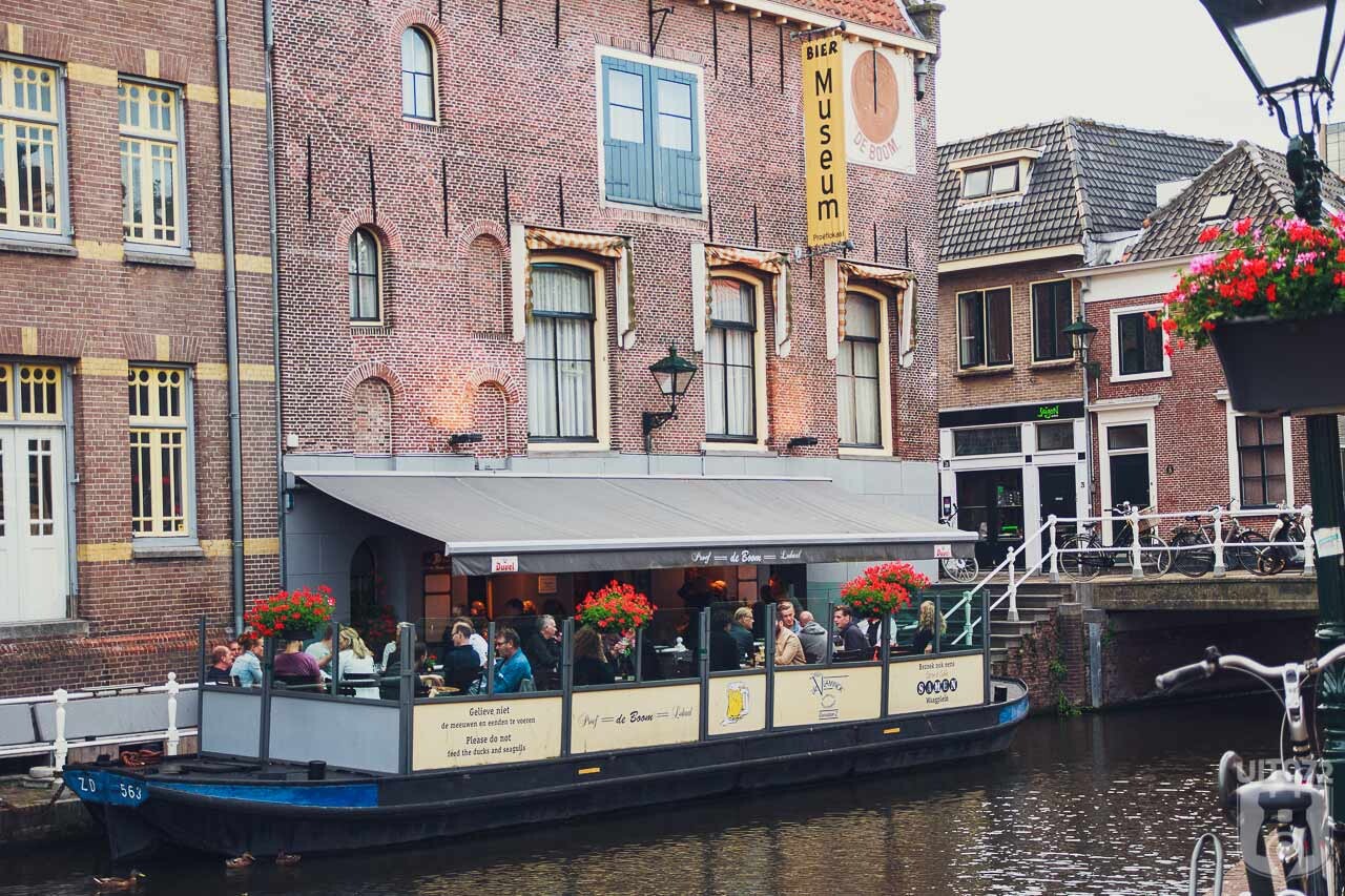 Deboomalkmaar1