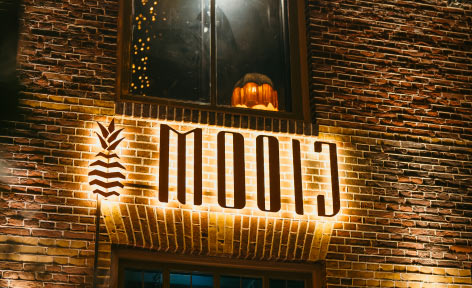 Mooij alkmaar foto logo3